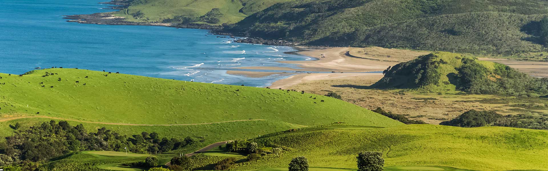 Kayaks Bay Beach Hire